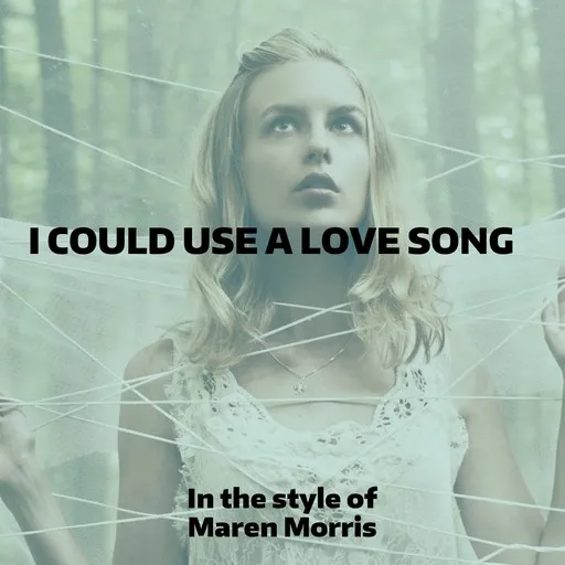 I Could Use a Love Song - Karaoke