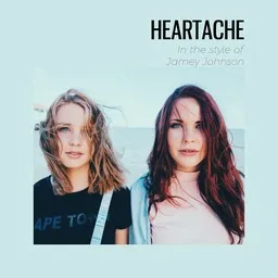 Cover art for Heartache - Jamey Johnson karaoke version