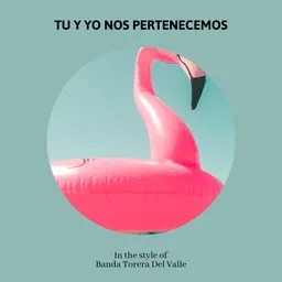 Cover art for Tu Y Yo Nos Pertenecemos - Banda Torera Del Valle karaoke version