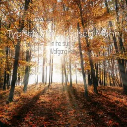 Cover art for Typisch Frau, typisch Mann - Wolfgang Petry karaoke version