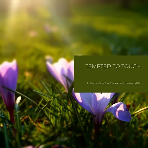 Karaoke Tempted To Touch von Daddy Yankee, Kevin Lyttle — mit Songtext mitsingen auf Singa