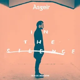 Cover art for Head In The Snow - Ásgeir karaoke version