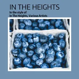Cover art for In The Heights - In The Heights,Various Artists karaoke version