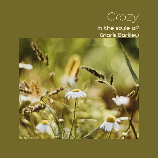 Crazy - Karaoke