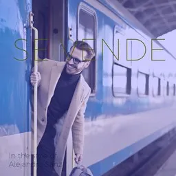 Cover art for Se Vende - Alejandro Sanz karaoke version