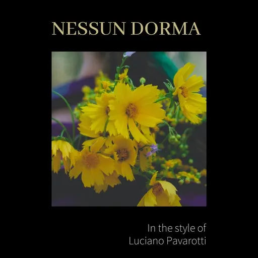 Nessun Dorma - Karaoke