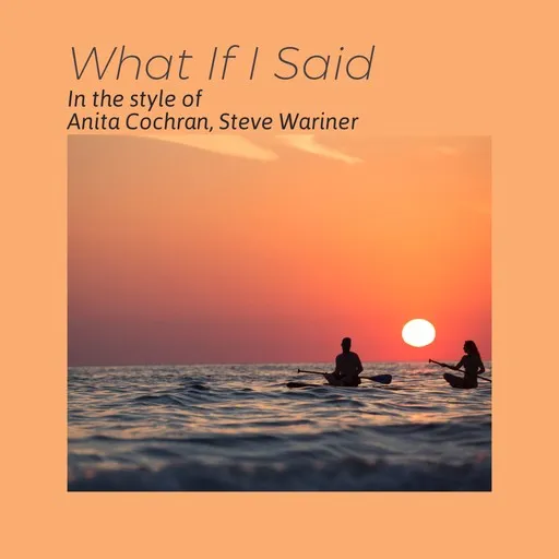What If I Said - Karaoke