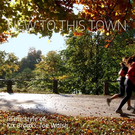 Karaoke New To This Town by Joe Walsh, Kix Brooks — sing along with lyrics on Singa