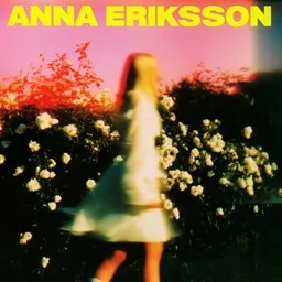 Karaokekappaleen Ei se mennyt niin - Anna Eriksson kansikuva