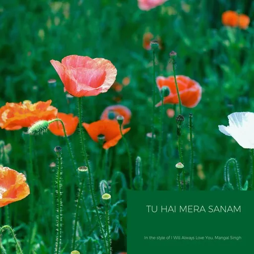Tu Hai Mera Sanam - Karaoke