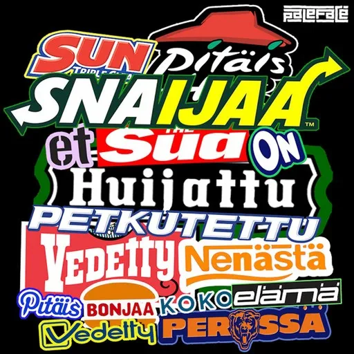 Karaoke Snaijaa by Paleface, Tuomo — sing along with lyrics on Singa