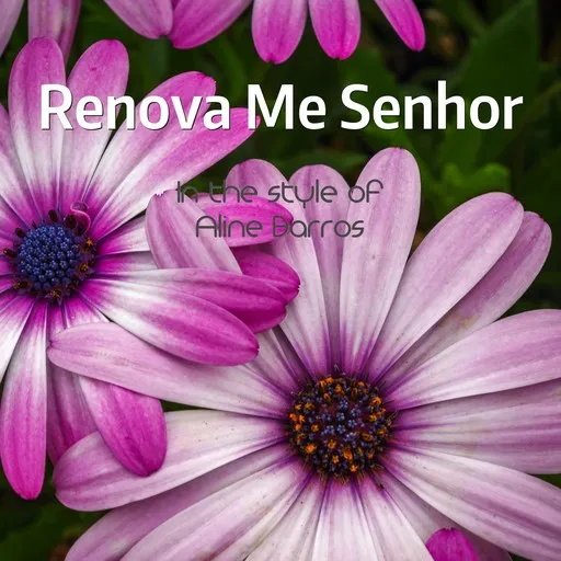 Renova Me Senhor - Karaoke