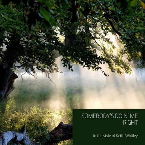 Somebody's Doin' Me Right - Karaoke