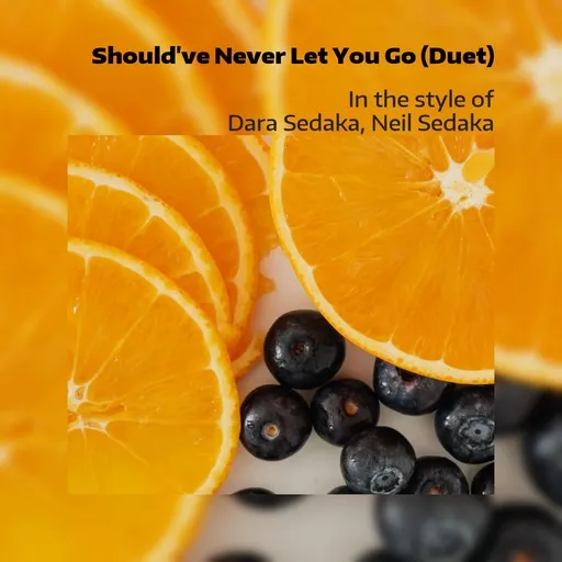 Karaoke Should've Never Let You Go (Duet) von Dara Sedaka, Neil Sedaka — mit Songtext mitsingen auf Singa