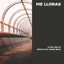 Karaokekappaleen Me Lloras - Charly Black,Gloria Trevi kansikuva