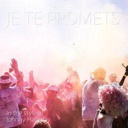 Cover art for Je te promets - Johnny Hallyday karaoke version
