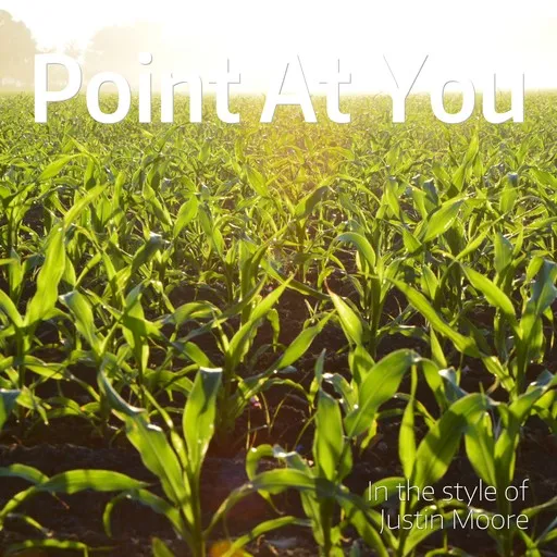 Point At You - Karaoke