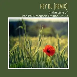Cover art for Hey DJ (Remix) - CNCO,Meghan Trainor,Sean Paul karaoke version