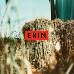 Cover art for Vanha nainen hunningolla - Erin karaoke version
