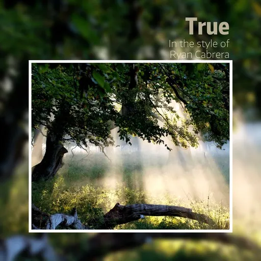 True - Karaoke