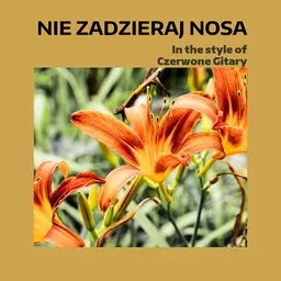 Titelbild für Nie zadzieraj nosa - Czerwone Gitary Karaoke-Version