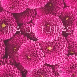 Cover art for J'irai où tu iras - Céline Dion,Jean-Jacques Goldman karaoke version