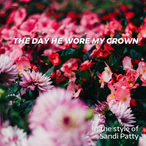 Karaoke The Day He Wore My Crown by Sandi Patty — sing along with lyrics on Singa