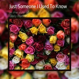 Karaokekappaleen Just Someone I Used To Know - Dolly Parton kansikuva