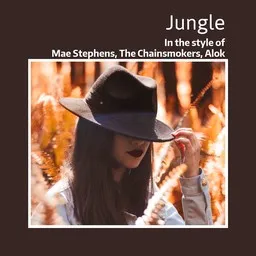 Cover art for Jungle - Alok,Mae Stephens,The Chainsmokers karaoke version