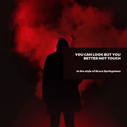 Cover art for You Can Look But You Better Not Touch - Bruce Springsteen karaoke version