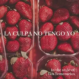 Cover art for La Culpa No Tengo Yo - Los Temerarios karaoke version