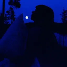 Omslagsbild för Jää mun viereen - Vesta karaokeversion