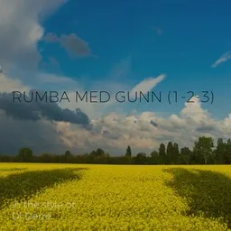 Cover art for Rumba med Gunn (1-2-3) - Di Derre karaoke version