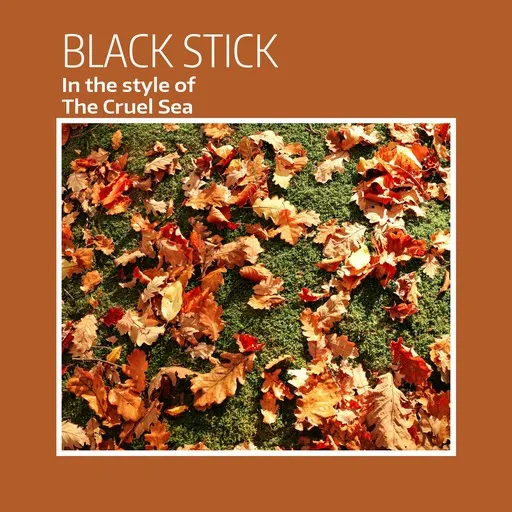 Karaoke Black Stick by The Cruel Sea — sing along with lyrics on Singa