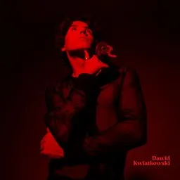 Cover art for Co z nami będzie - Dawid Kwiatkowski karaoke version