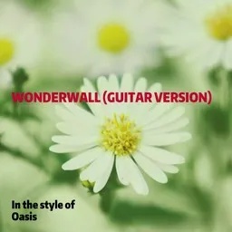 Cover art for Wonderwall (Guitar Version) - Oasis karaoke version