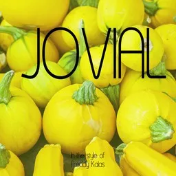 Cover art for Jovial - Freddy Kalas karaoke version
