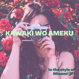 Cover art for Kawaki wo Ameku - Minami (美波) karaoke version