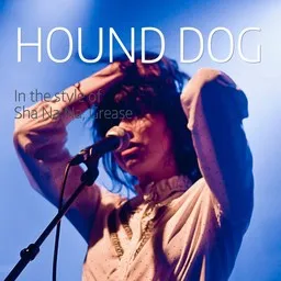 Cover art for Hound Dog - Grease,Sha Na Na karaoke version
