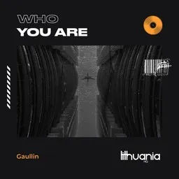 Cover art for Who You Are - Gaullin karaoke version