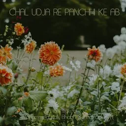 Titelbild für Chal Udja Re Panchhi Ke Ab - Bhabhi Soundtrack,Mohammed Rafi Karaoke-Version