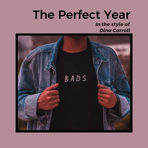 The Perfect Year - Karaoke