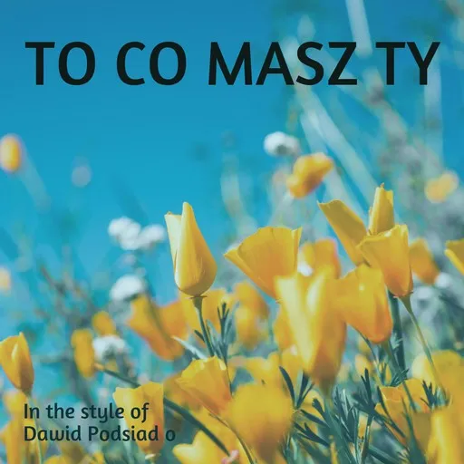 Karaoke To co masz Ty von Dawid Podsiadło — mit Songtext mitsingen auf Singa