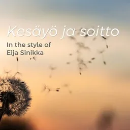 Omslagsbild för Kesäyö ja soitto - Eija Sinikka karaokeversion