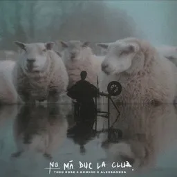 Cover art for NU MA DUC LA CLUB - Alessandra,DOMINO,Theo Rose karaoke version