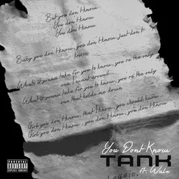 Cover art for You Don't Know - Tank,Wale karaoke version