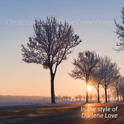 Karaoke Christmas (Baby, Please Come Home) by Darlene Love — sing along with lyrics on Singa