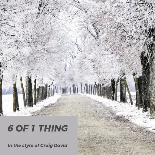Karaoke 6 Of 1 Thing von Craig David — mit Songtext mitsingen auf Singa