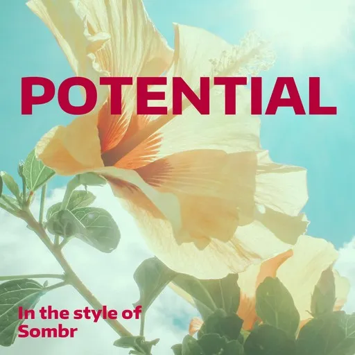 Potential - Karaoke