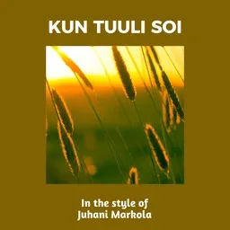 Cover art for Kun tuuli soi - Juhani Markola karaoke version